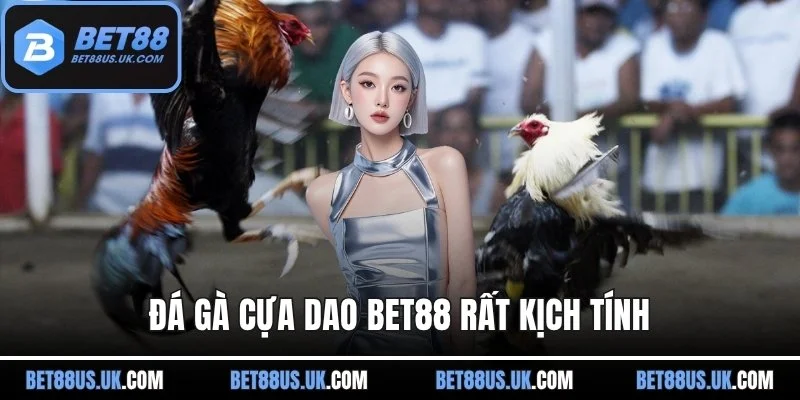 Đá gà cựa dao BET88 rất kịch tính
