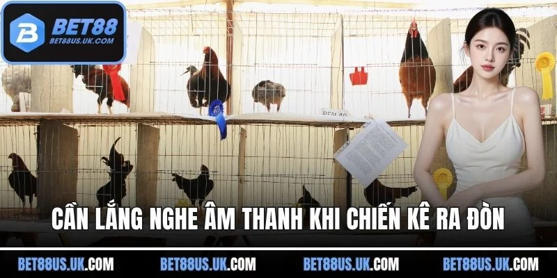 Hội viên cần lắng nghe âm thanh khi chiến kê ra đòn