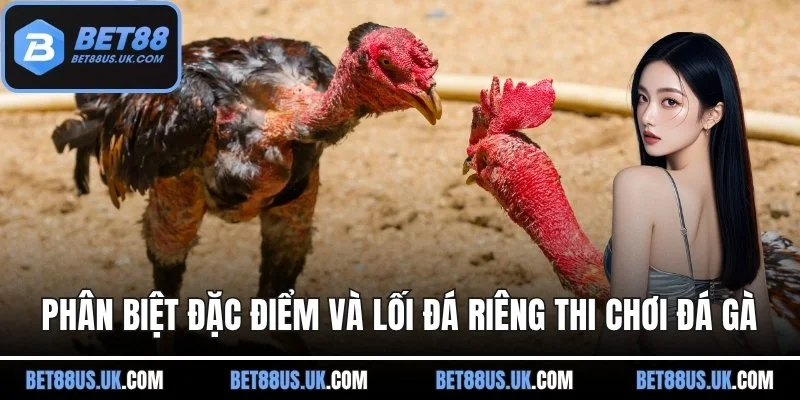 Phân biệt đặc điểm và lối đá riêng thi chơi đá gà BET88