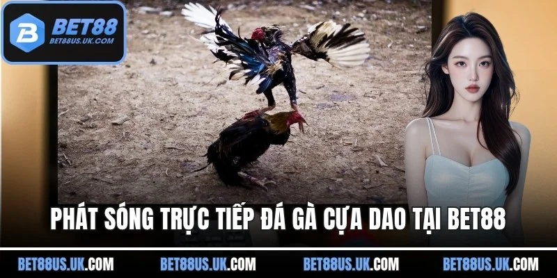 Phát sóng trực tiếp đá gà cựa dao tại nền tảng BET88