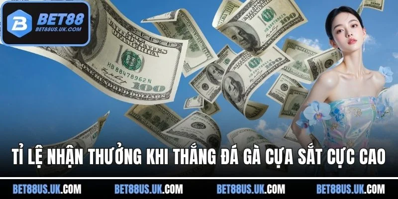 Tỉ lệ nhận thưởng khi thắng đá gà cựa sắt cực cao