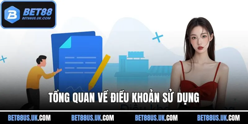 Tổng quan về điều khoản sử dụng
